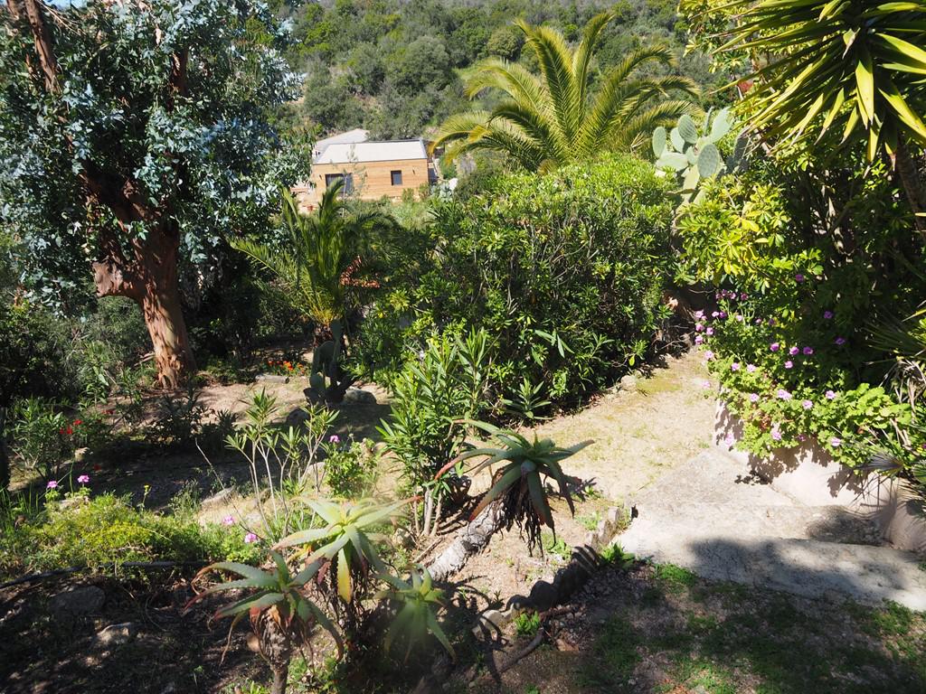 Location de vacances en maison (avec piscine) 8 personnes à PIETROSELLA (40)