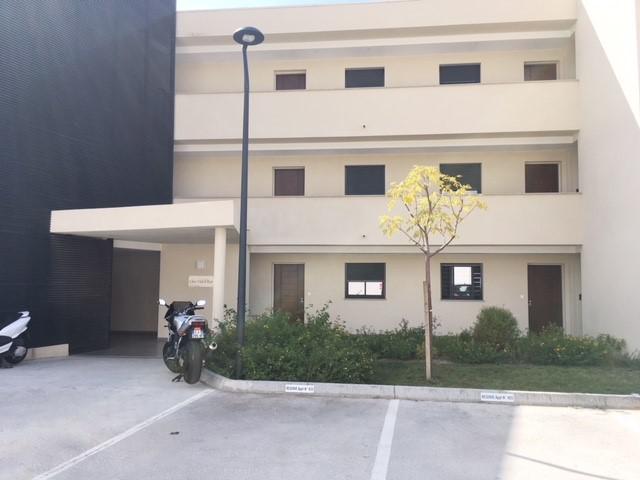 Location de vacances en appartement  4 personnes à PORTICCIO (40)