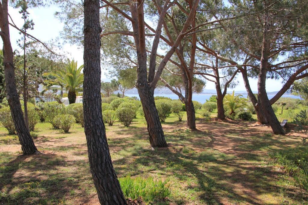 Location de vacances en appartement (avec piscine) 4 personnes à PORTICCIO (40)